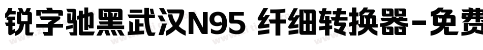 锐字驰黑武汉N95 纤细转换器字体转换